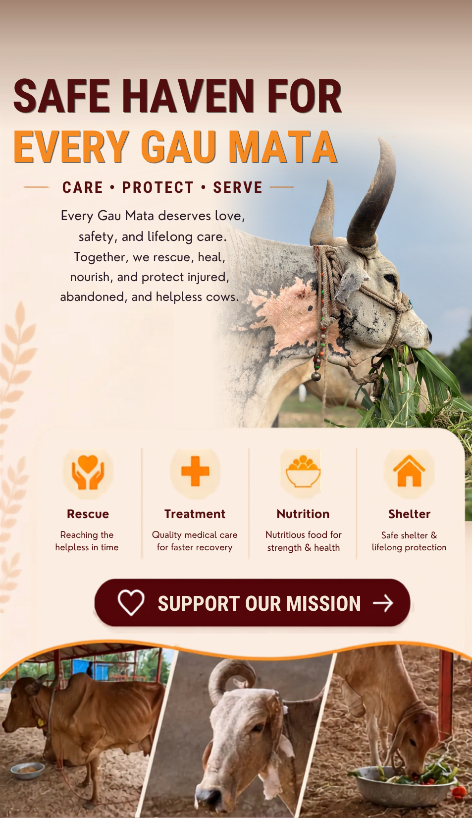 Every Gau Mata